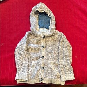 Zara Kids Beige Hooded Jacket